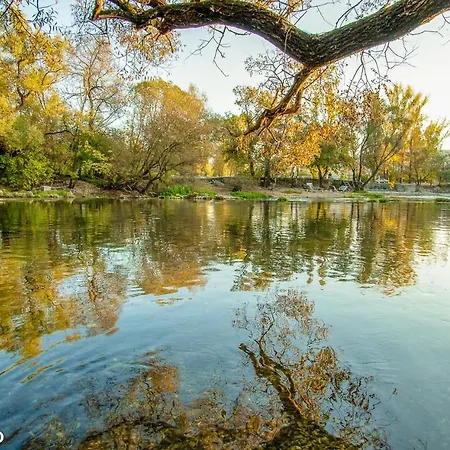 Mediterrano Pool & Tavern Mostar Villa