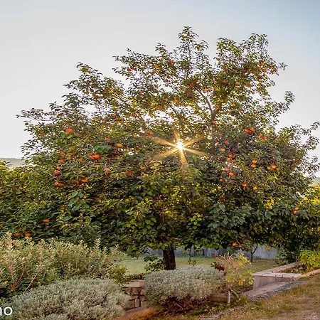 Villa Mediterrano Pool & Tavern Mostar *