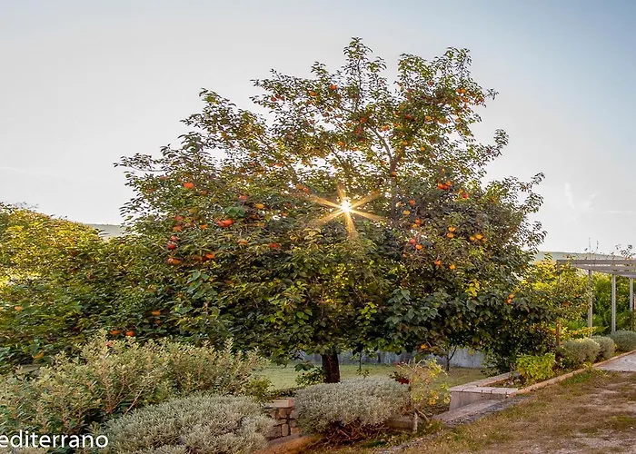 Villa Mediterrano Pool & Tavern Mostar *